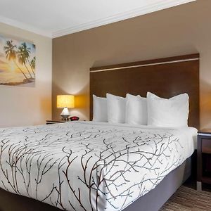 Large King Room